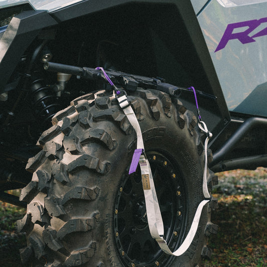 Purple Alpine Slings - 1.23.25